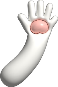 left arm